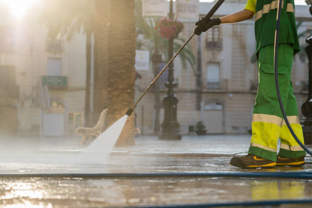 Best Driveway Pressure Washing  in Pocono Springs, PA